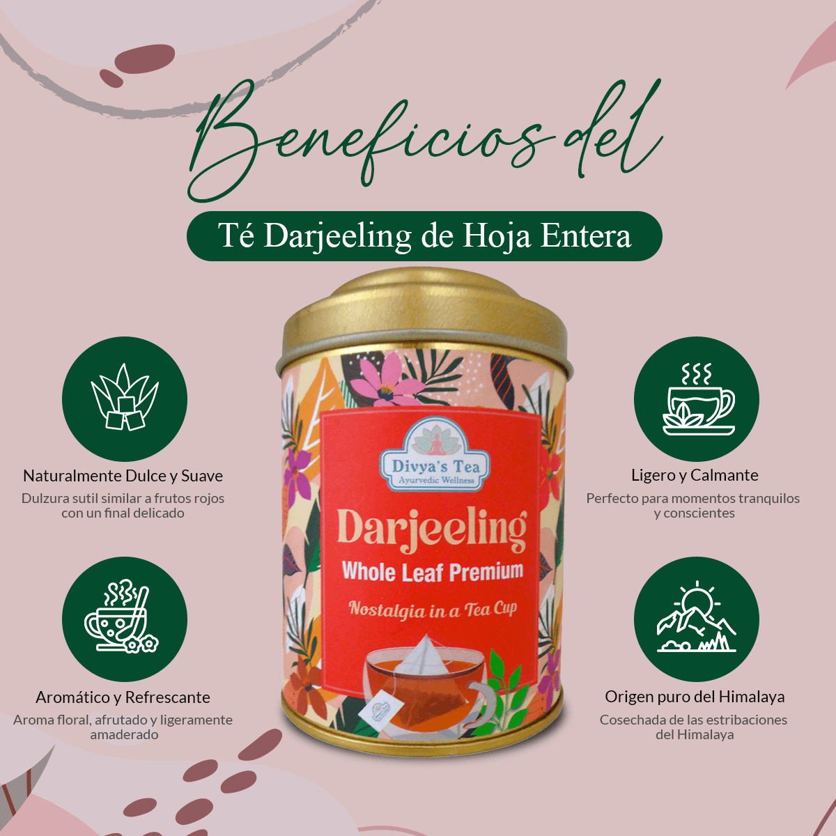 Darjeeling Whole Leaf Tea | Cosecha Premium del Himalaya