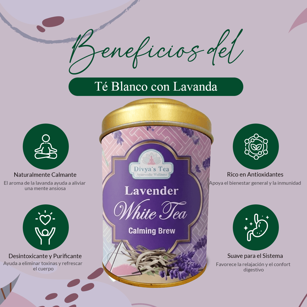 Lavender White Tea | Mezcla Calmante de Bienestar